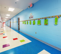 Elementary School Hallway with Blue Walls